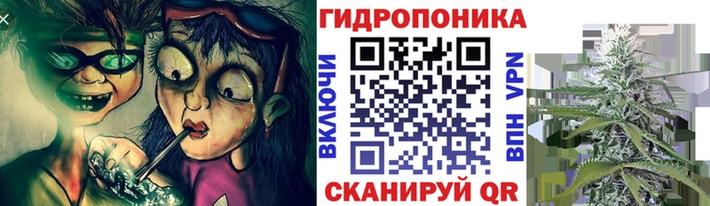 Псилоцибиновые грибы Кизел