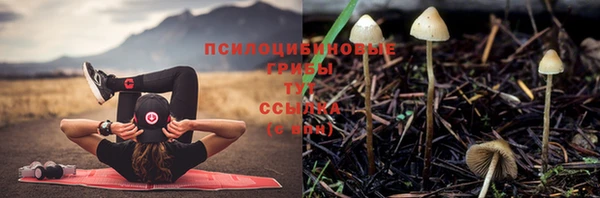 скорость mdpv Елабуга