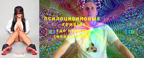 прущие грибы Елизово