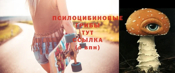 прущие грибы Елизово