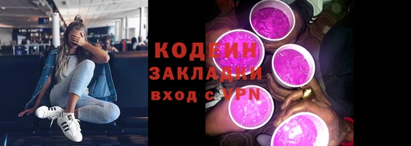 прущие грибы Елизово