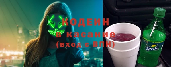 прущие грибы Елизово