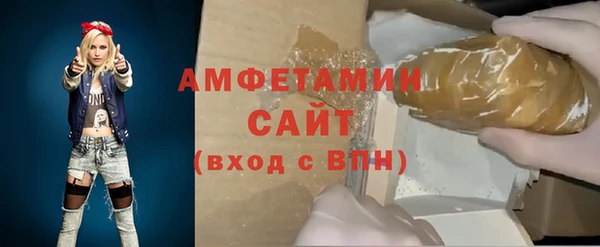 прущие грибы Елизово
