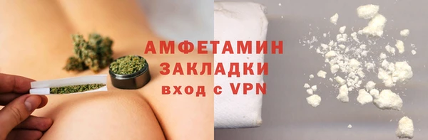 прущие грибы Елизово
