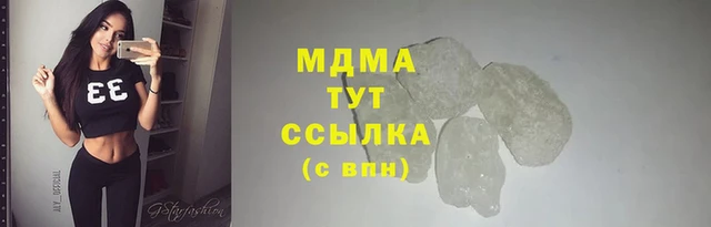 прущие грибы Елизово