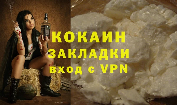 метадон Ельня