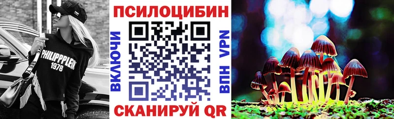 Купить закладки  Кизел  Псилоцибиновые грибы Cubensis 