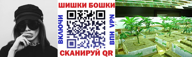 Купить где  Кизел  Конопля планчик 